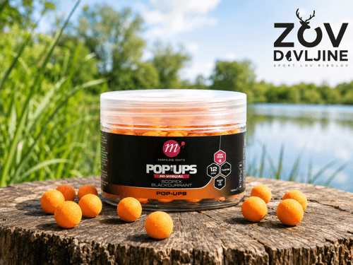Mainline - High Visual Mini Pop-ups Scopex & Blackcurrant