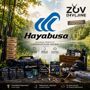 Hayabusa