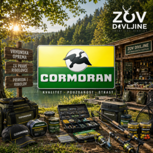 Cormoran