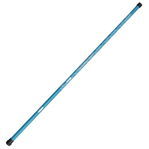 Mitchell Catch Pro II Pole T-4